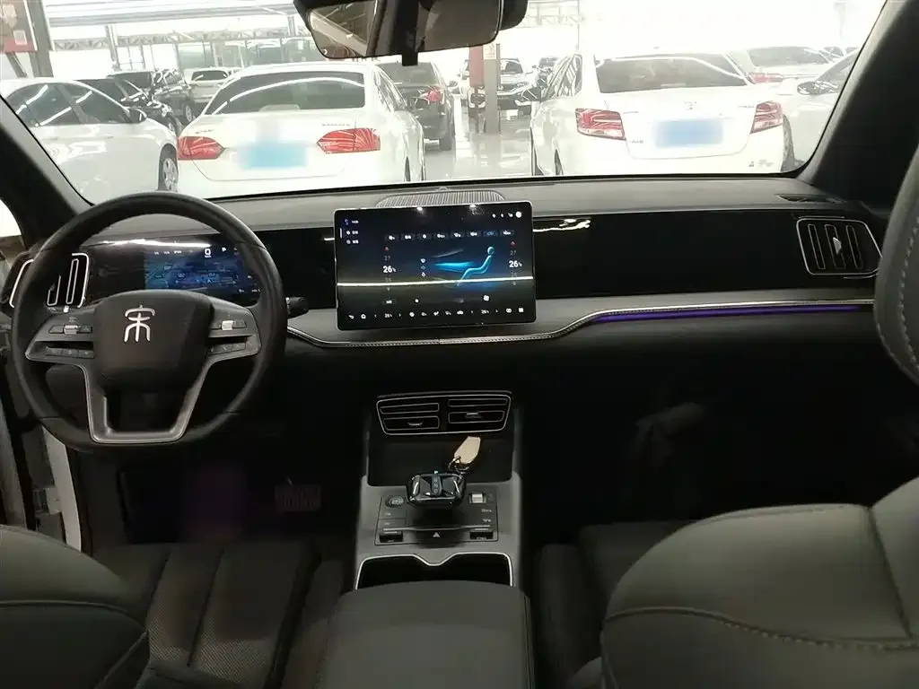 BYD Pro New Energy — фото 8