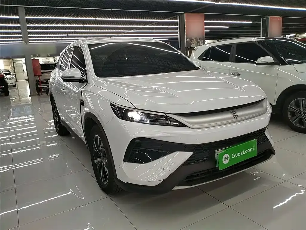 BYD Pro New Energy — фото 10