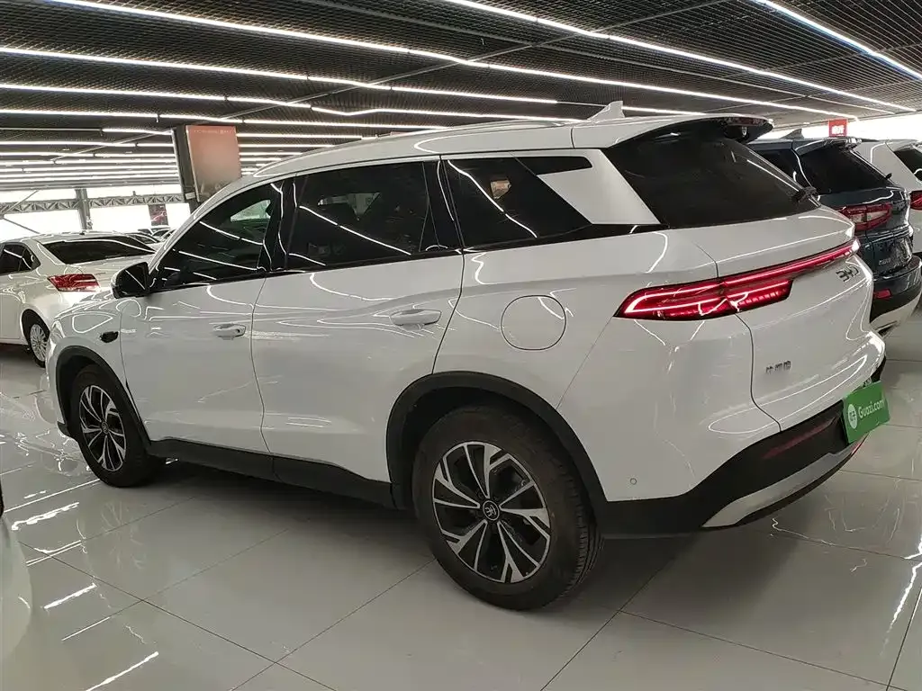 BYD Pro New Energy — фото 5