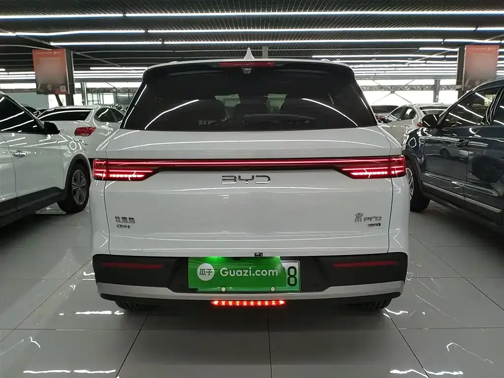 BYD Pro New Energy — фото 9