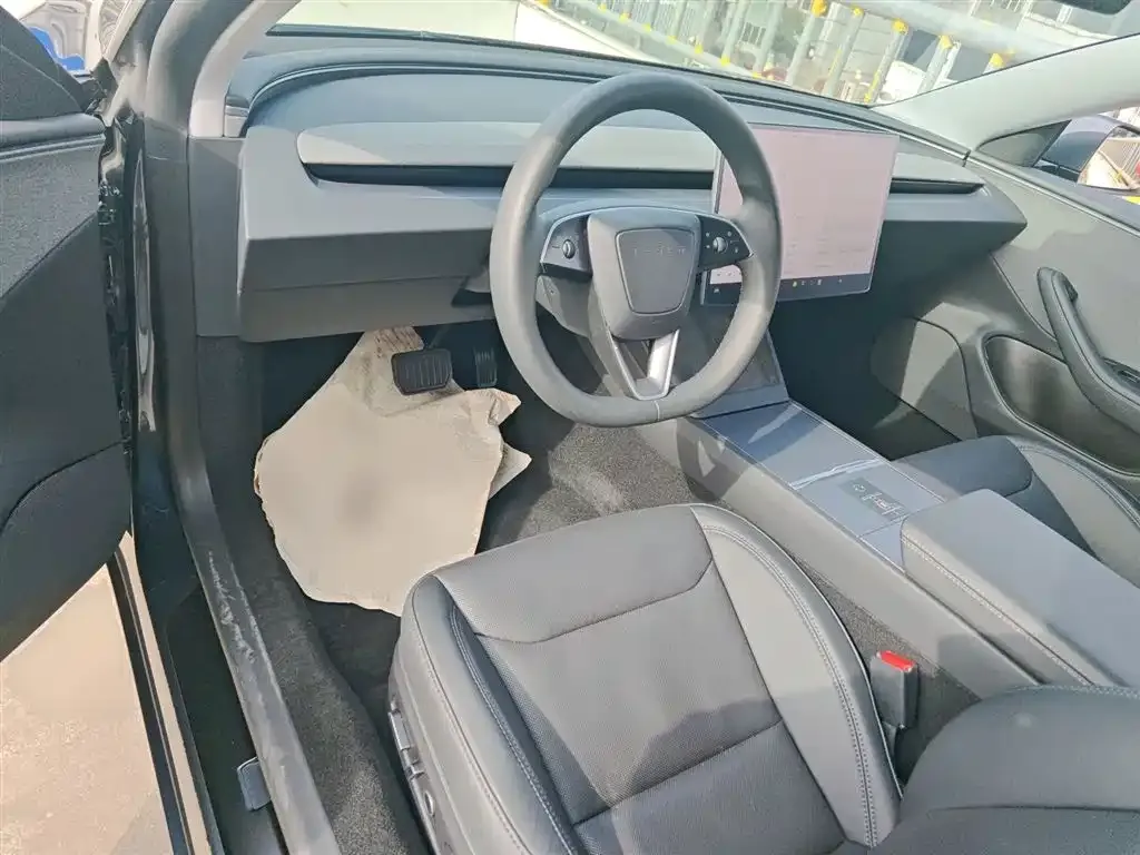 Tesla Model 3 2025 из CN, фото 3