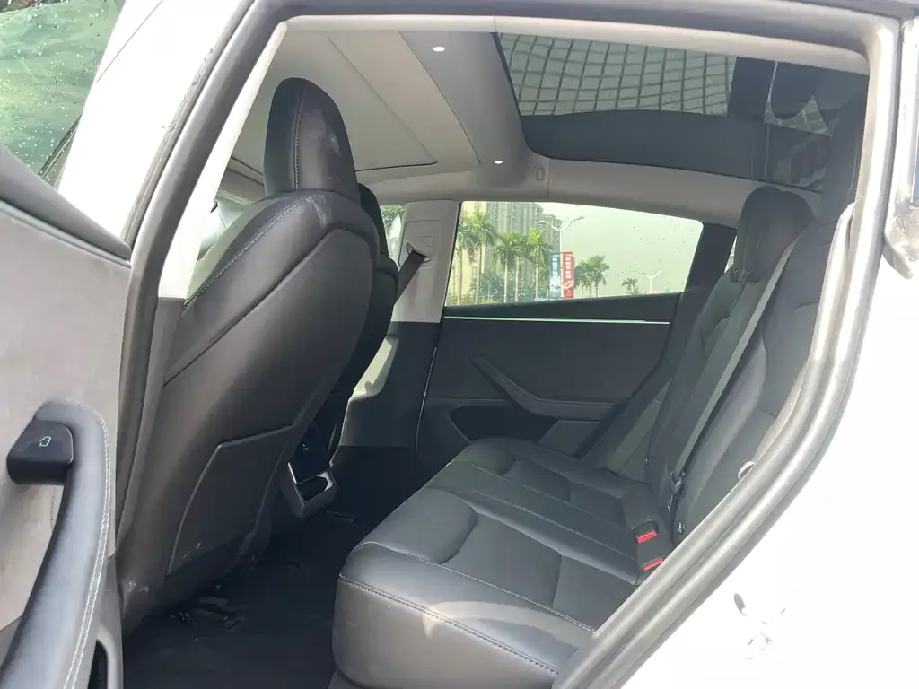 Tesla Model 3 2023 из CN, фото 5