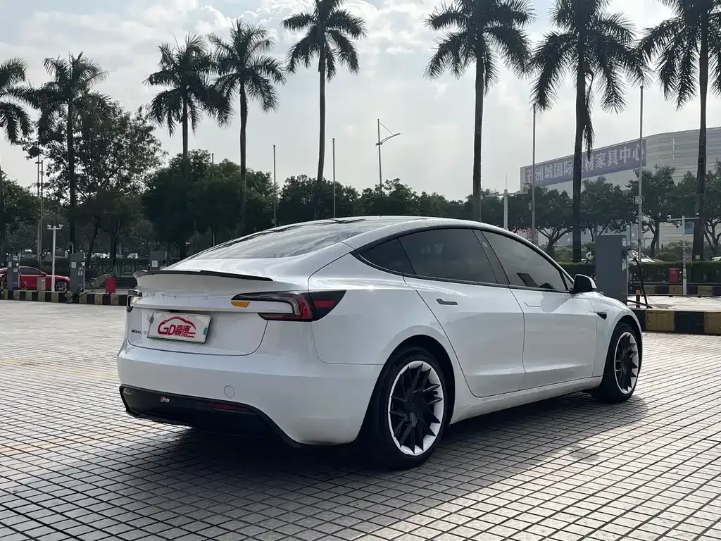 Tesla Model 3 2023 из CN, фото 3