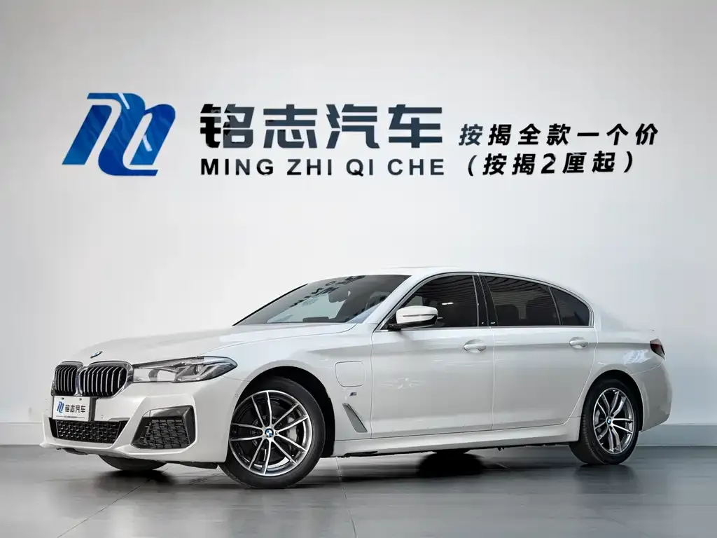 BMW 5 Series New Energy 2021 из CN, фото 1