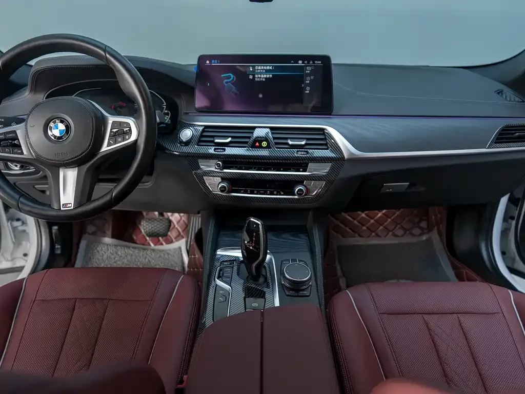 BMW 5 Series New Energy 2021 из CN, фото 5