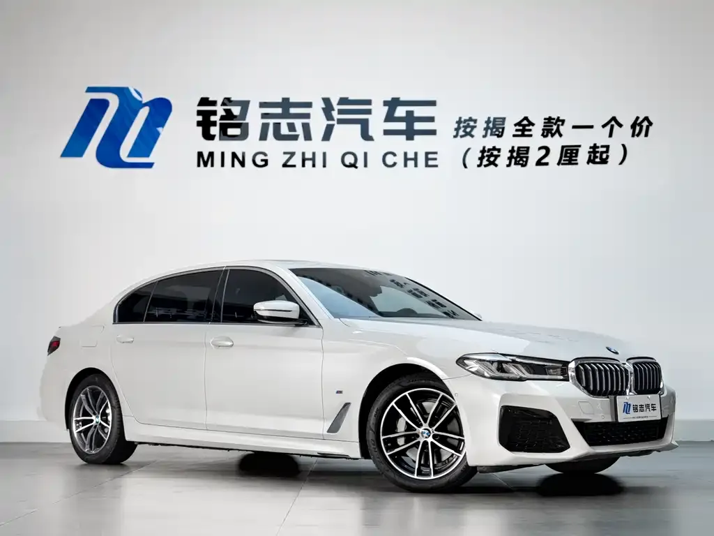 BMW 5 Series New Energy 2021 из CN, фото 7