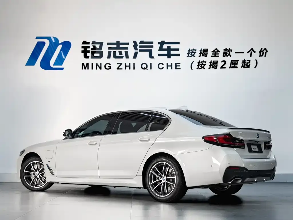 BMW 5 Series New Energy 2021 из CN, фото 10