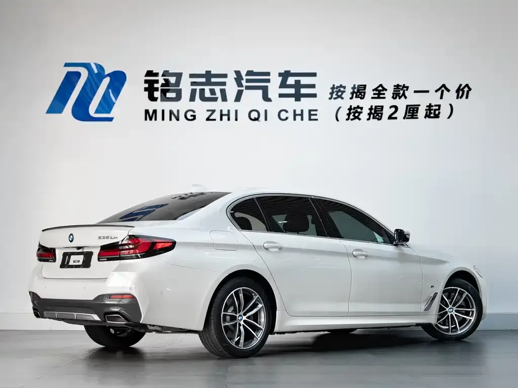 BMW 5 Series New Energy 2021 из CN, фото 4