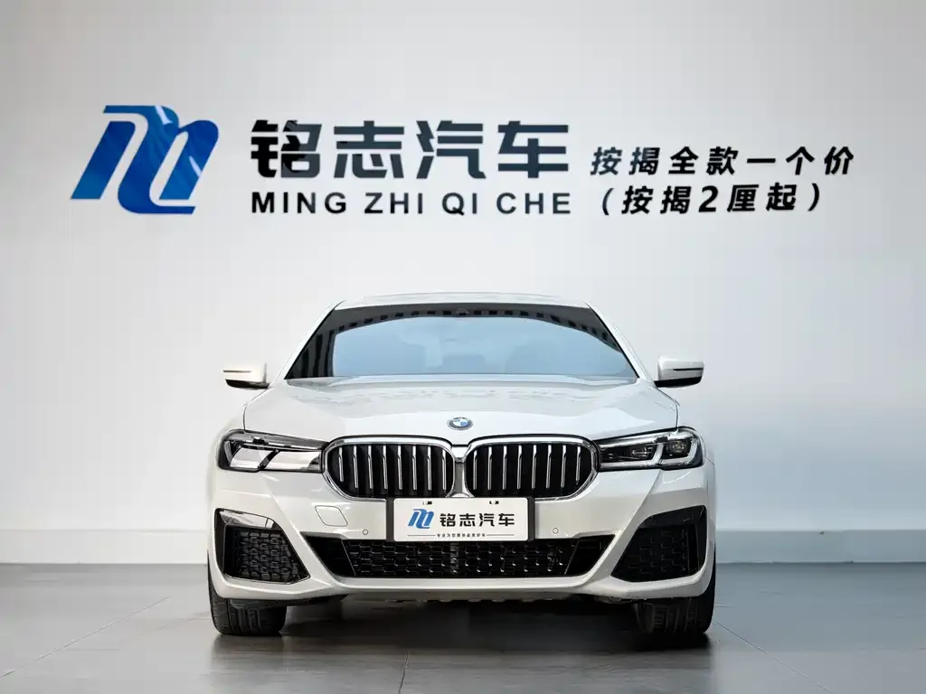 BMW 5 Series New Energy 2021 из CN, фото 8
