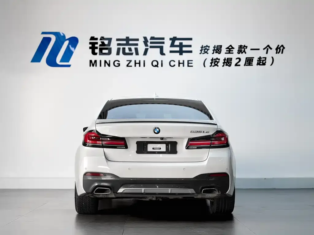 BMW 5 Series New Energy 2021 из CN, фото 3