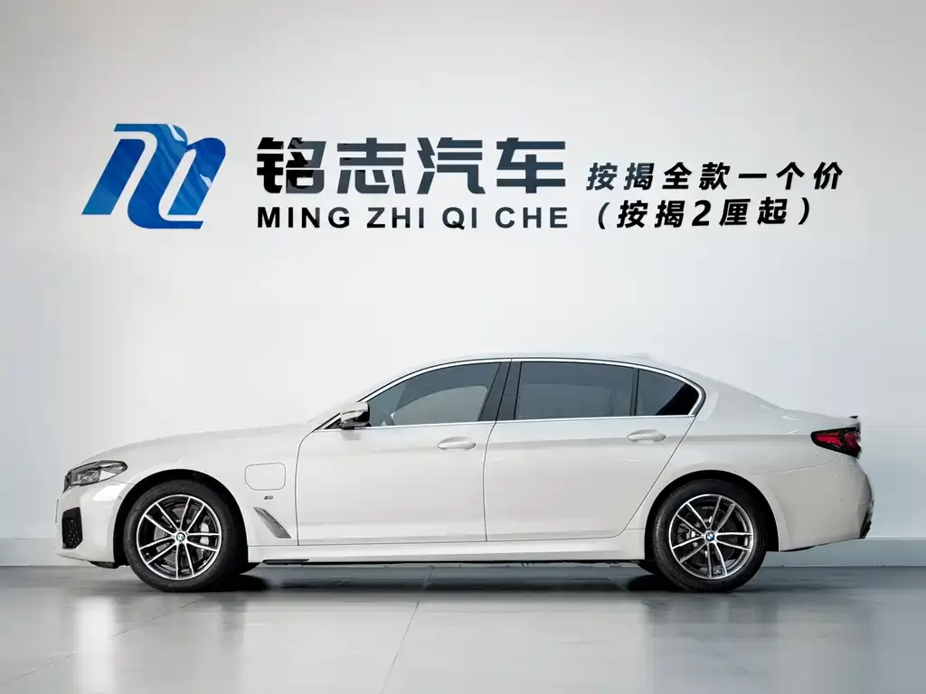 BMW 5 Series New Energy 2021 из CN, фото 6