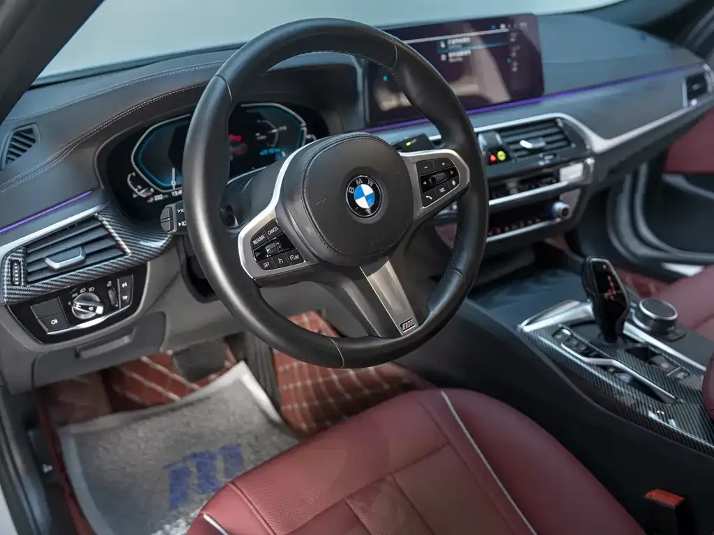 BMW 5 Series New Energy 2021 из CN, фото 9