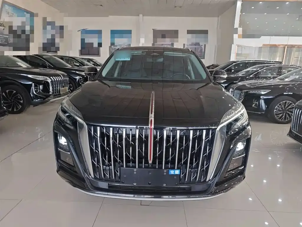 Hongqi HS3 PHEV 2024 из CN, фото 3