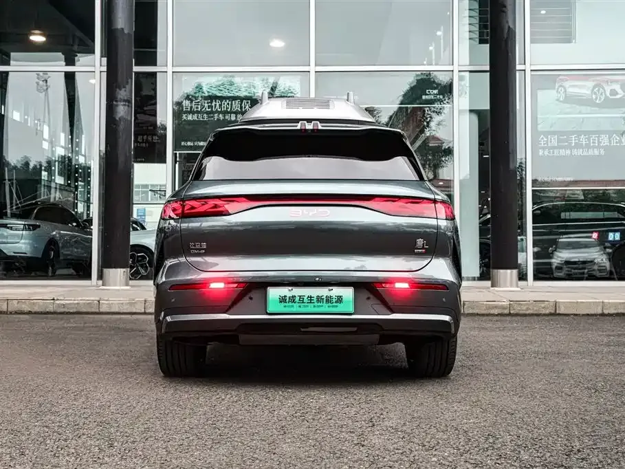 BYD Tang L 2025 из CN, фото 4