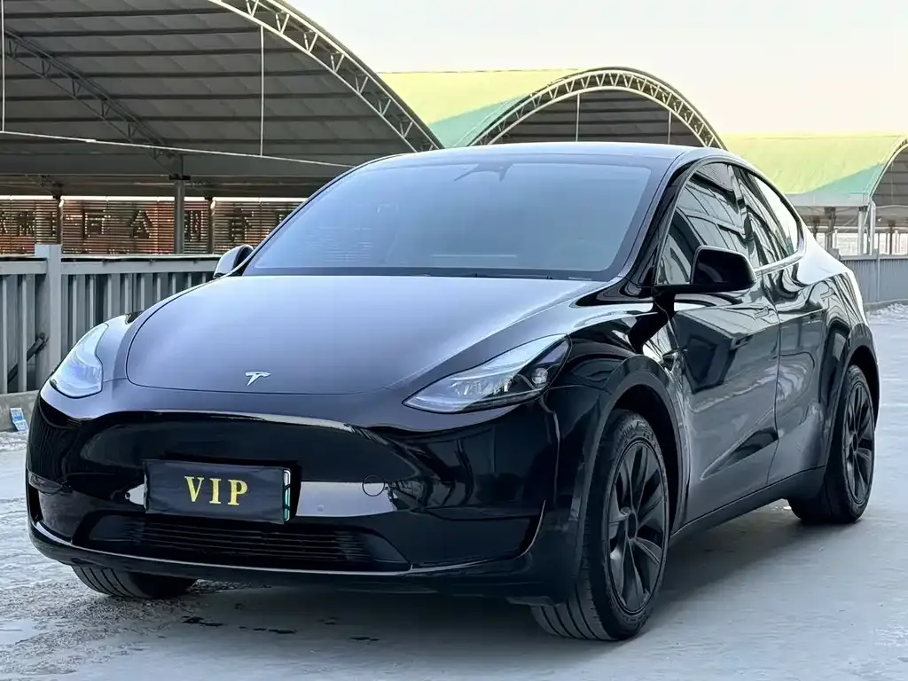 Tesla Model Y — фото 1