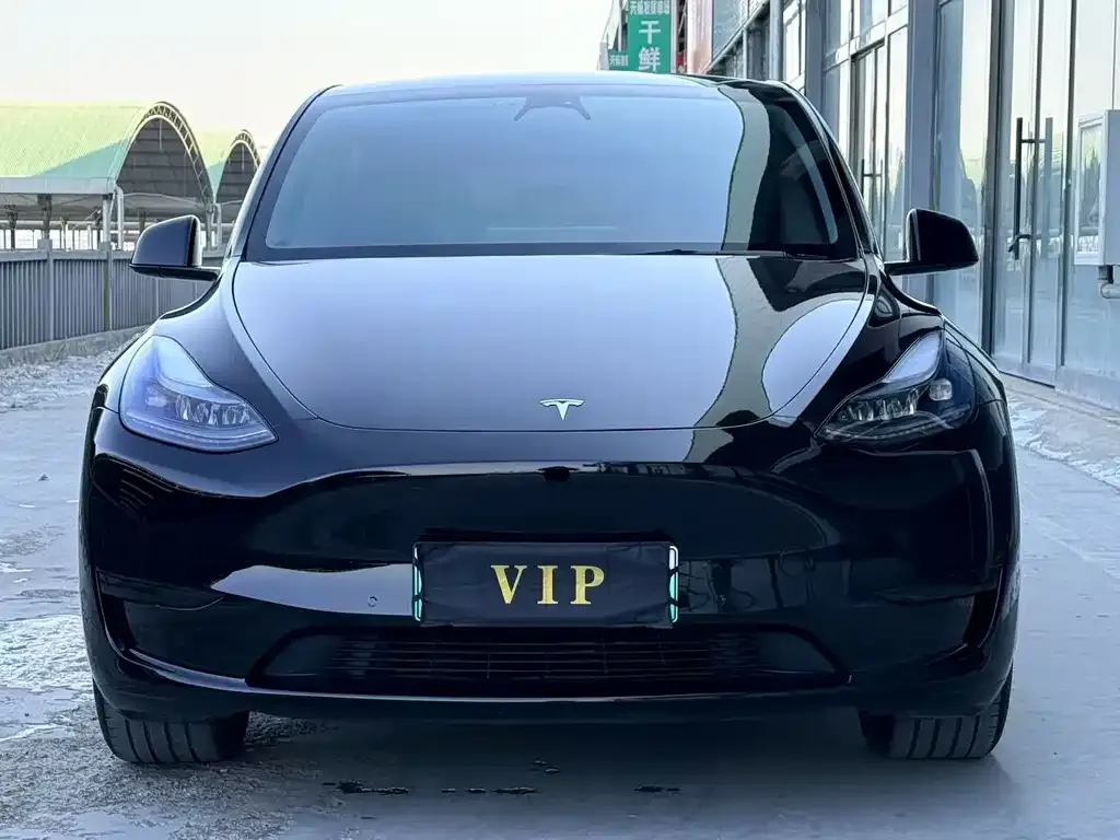 Tesla Model Y — фото 5