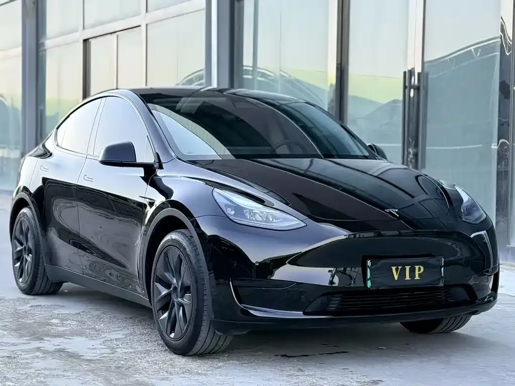Tesla Model Y — фото 7