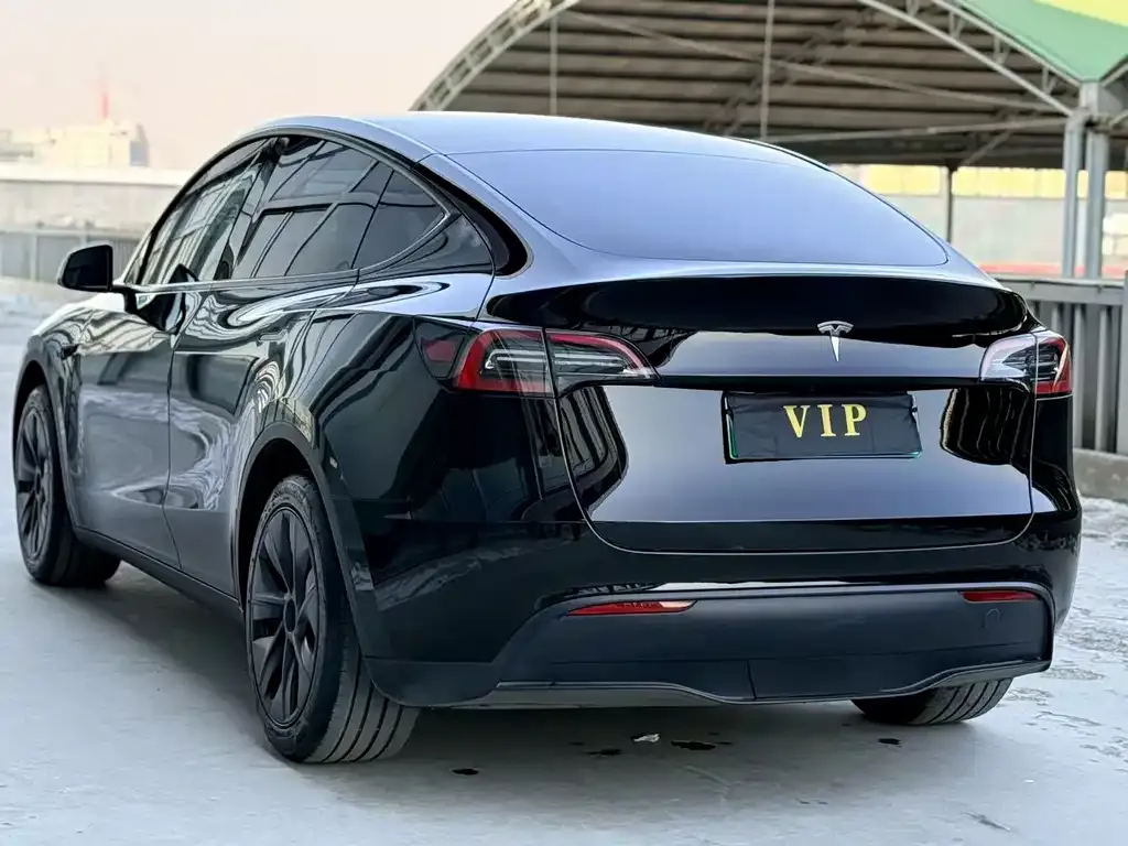 Tesla Model Y — фото 2