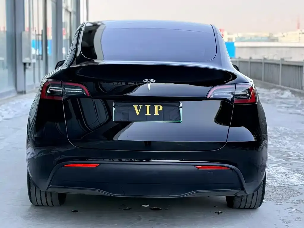 Tesla Model Y — фото 3