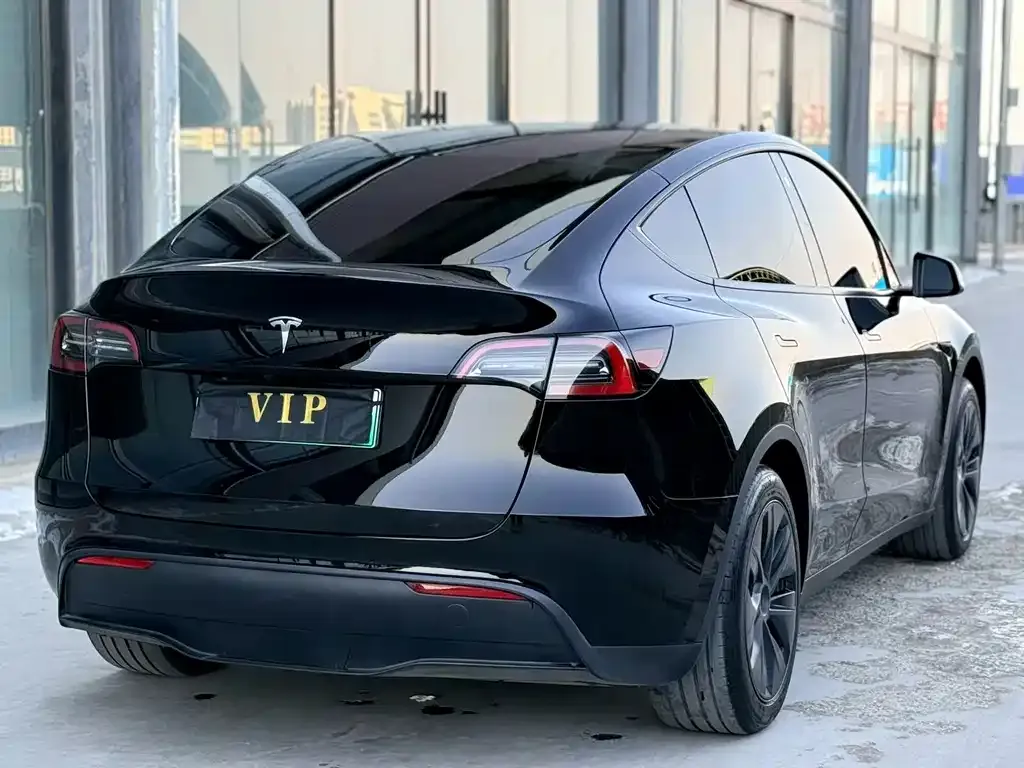 Tesla Model Y — фото 9
