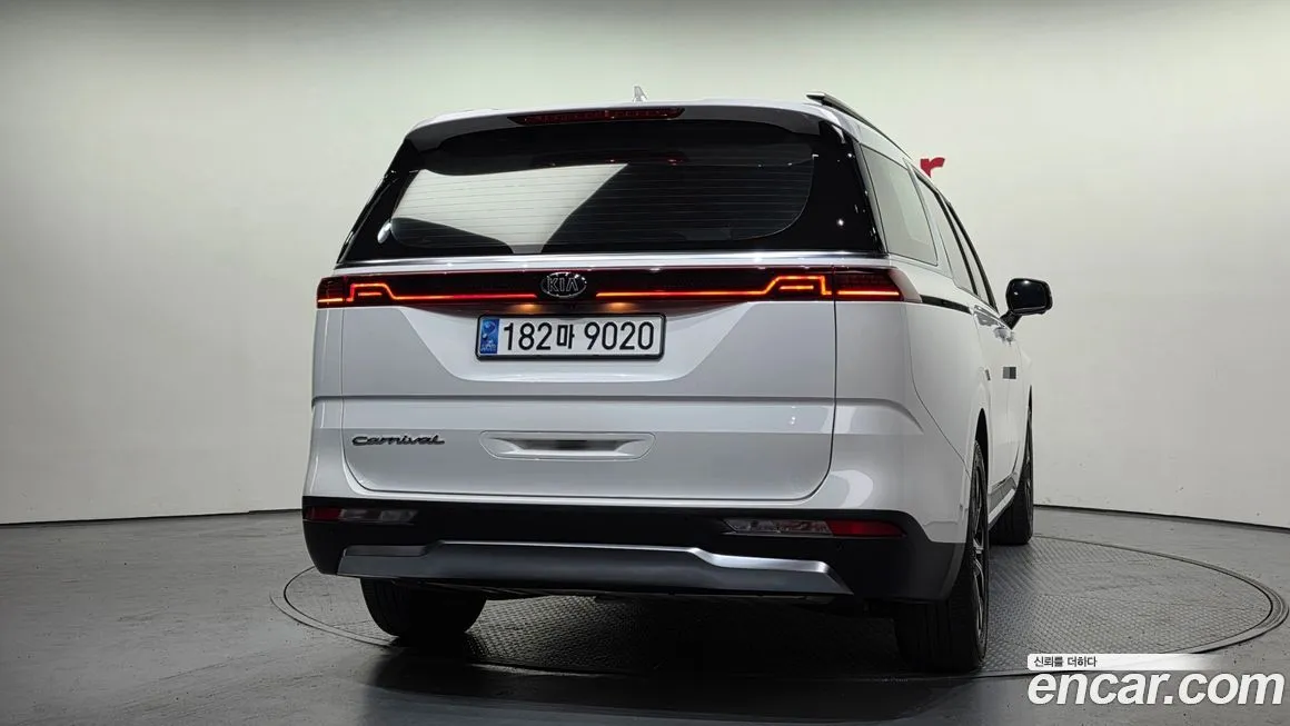 [object Object] Canival 2021 из KR, фото 4