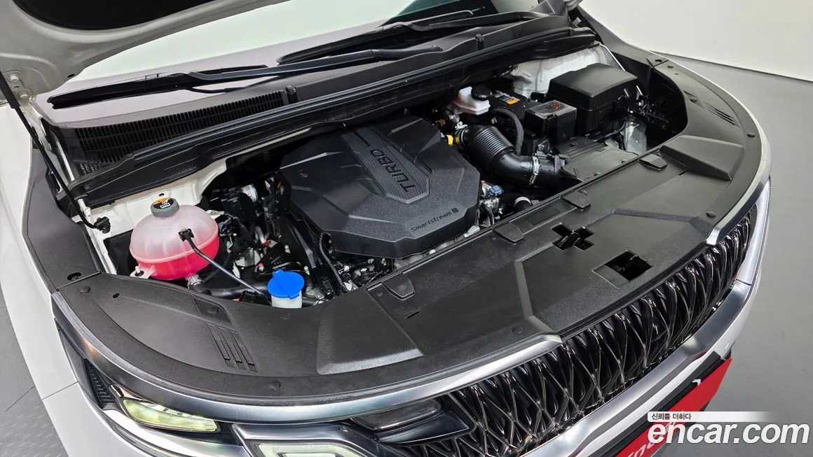 [object Object] Canival 2021 из KR, фото 6