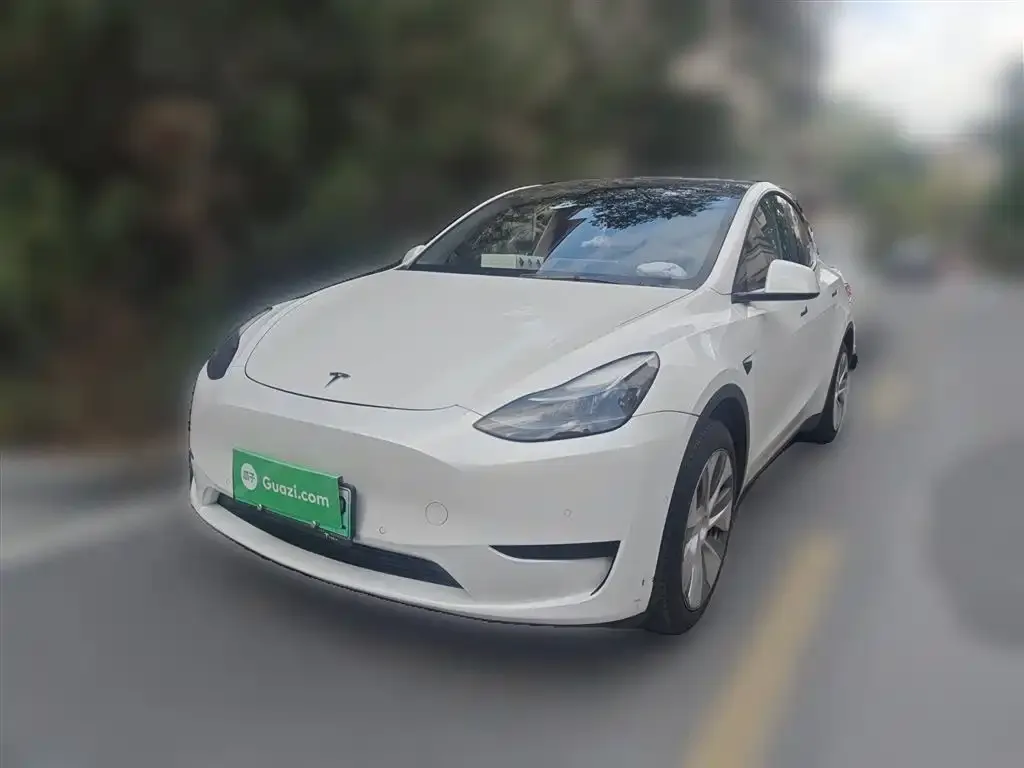 Tesla Model Y 2022 из CN, фото 1