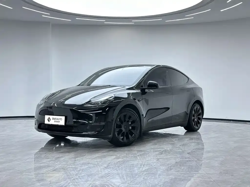 Tesla Model Y — фото 1