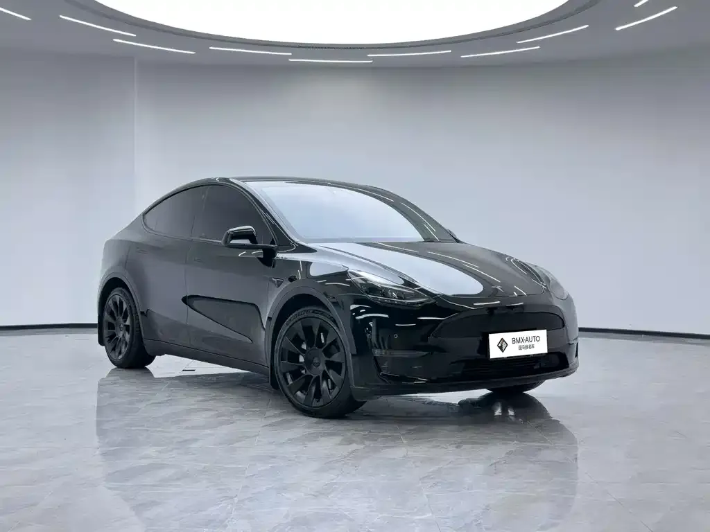 Tesla Model Y — фото 2