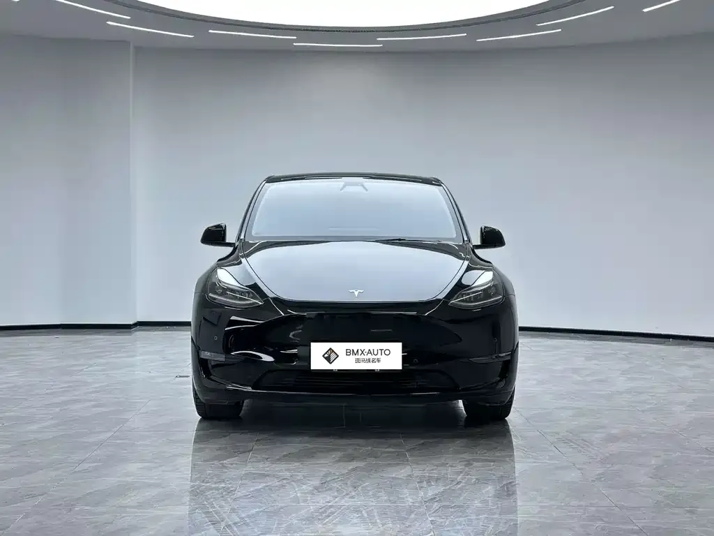 Tesla Model Y — фото 5