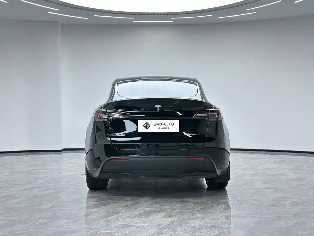 Tesla Model Y — фото 6