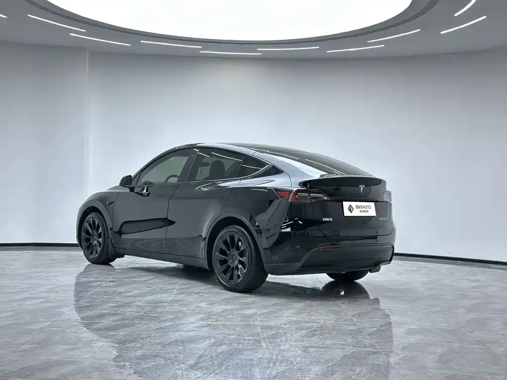 Tesla Model Y — фото 8