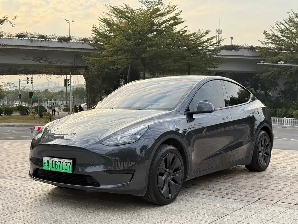 Tesla Model Y — фото 1