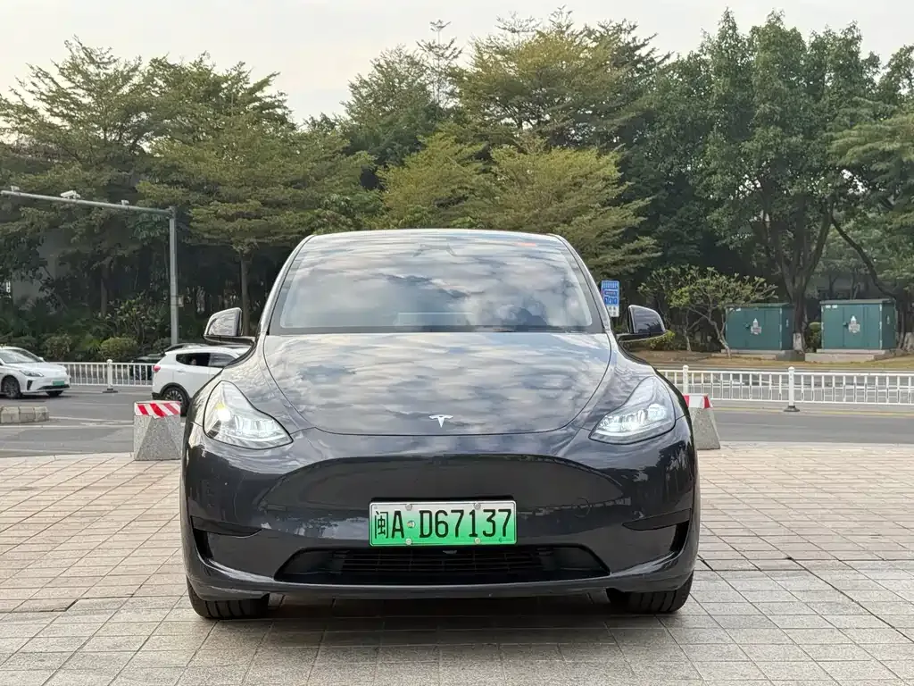 Tesla Model Y — фото 6