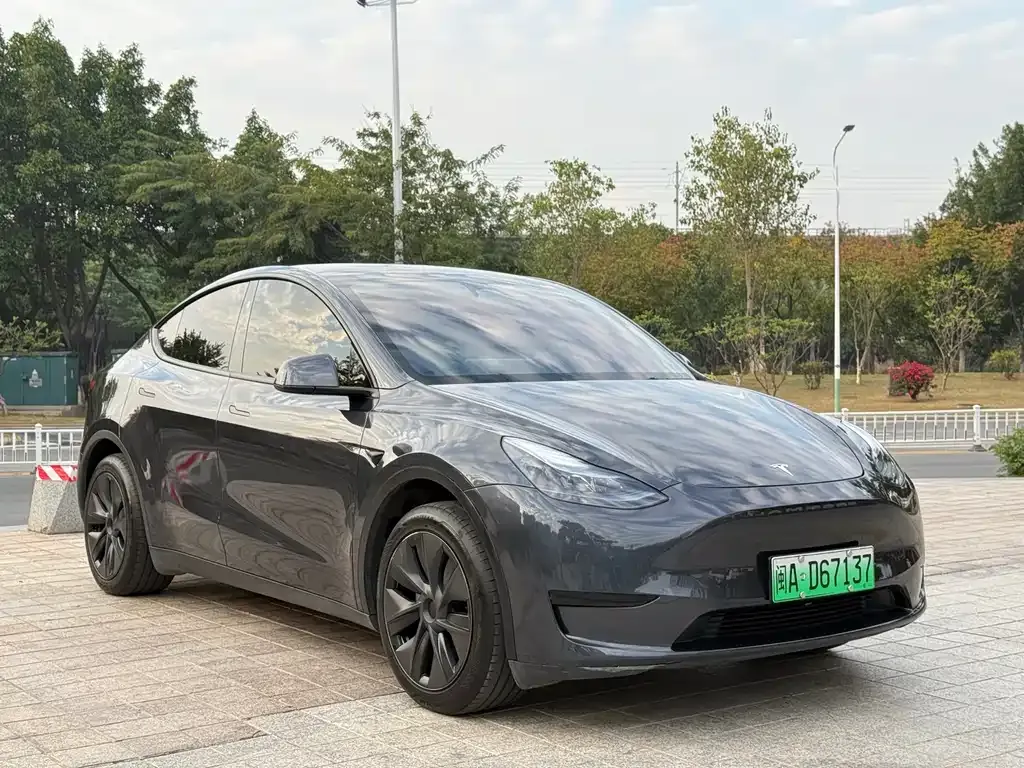 Tesla Model Y — фото 8