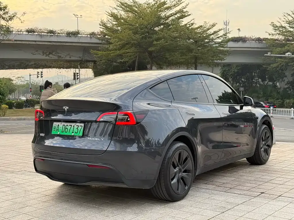 Tesla Model Y — фото 3