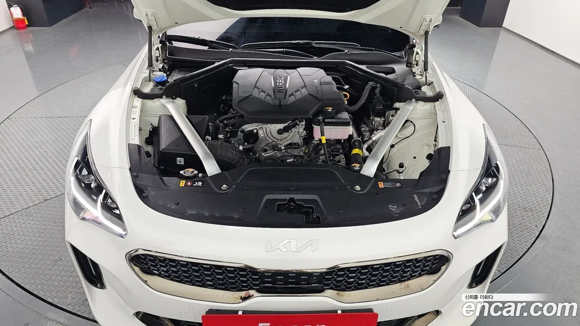 Kia Stinger 2023 из KR, фото 6