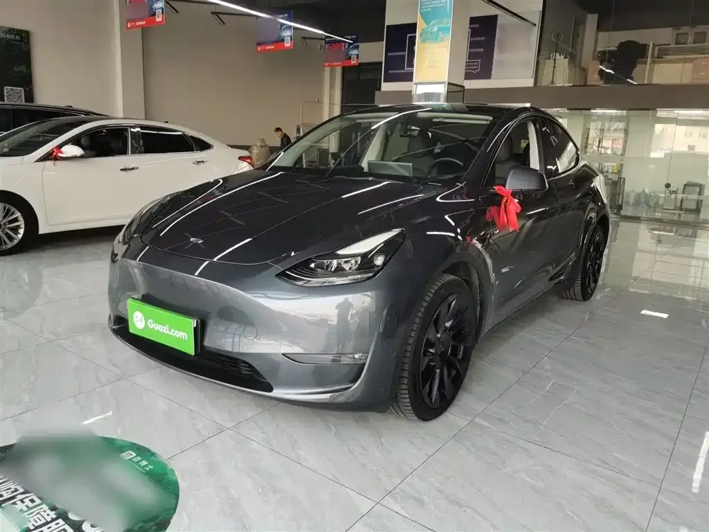 Tesla Model Y 2021 из CN, фото 2