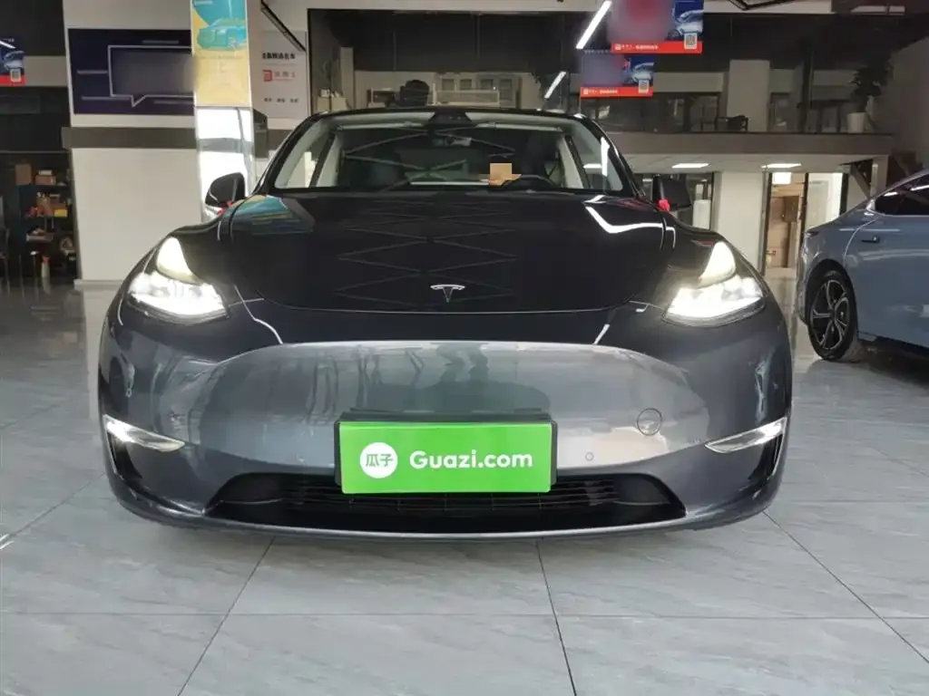 Tesla Model Y 2021 из CN, фото 3