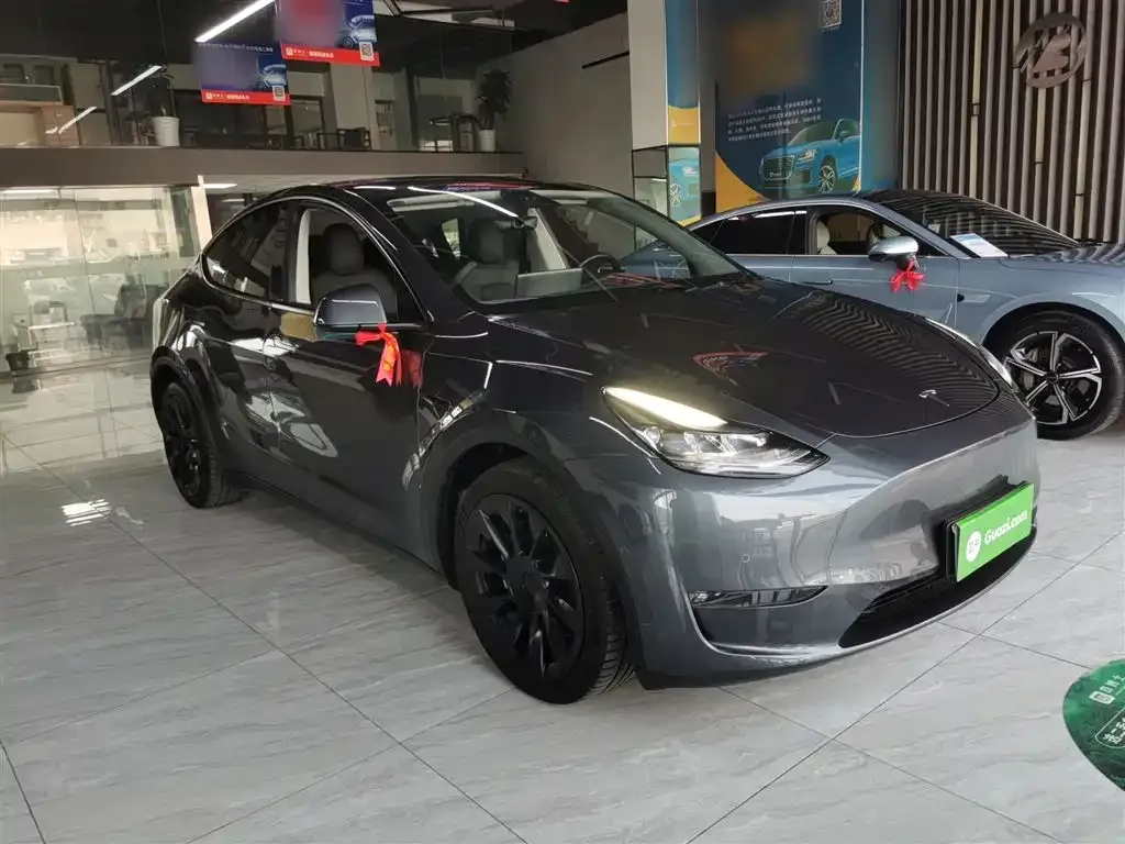 Tesla Model Y 2021 из CN, фото 4