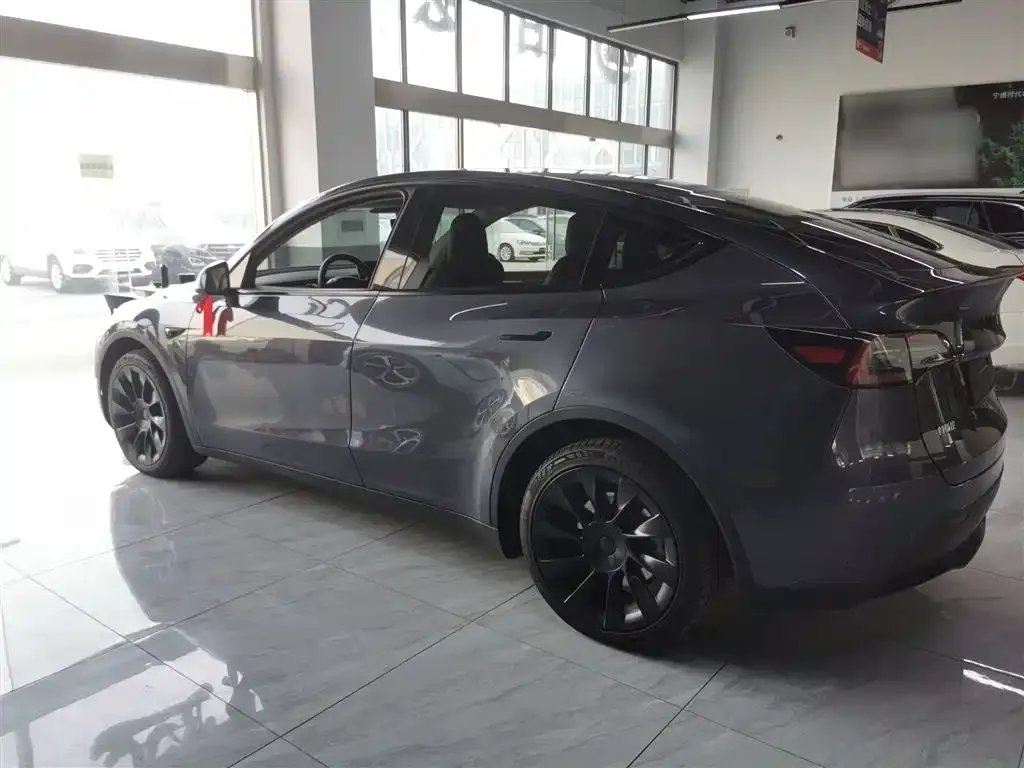 Tesla Model Y 2021 из CN, фото 5