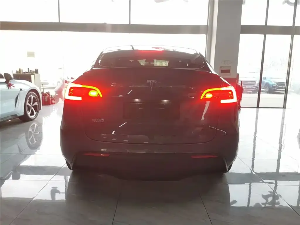 Tesla Model Y 2021 из CN, фото 6