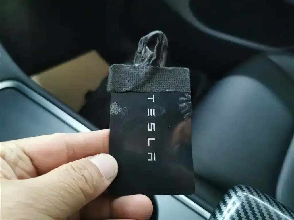Tesla Model Y 2021 из CN, фото 9