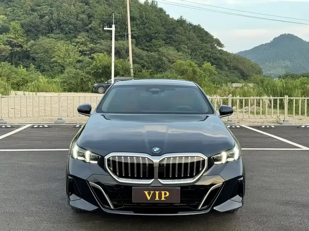 BMW 5 Series 2024 из CN, фото 9