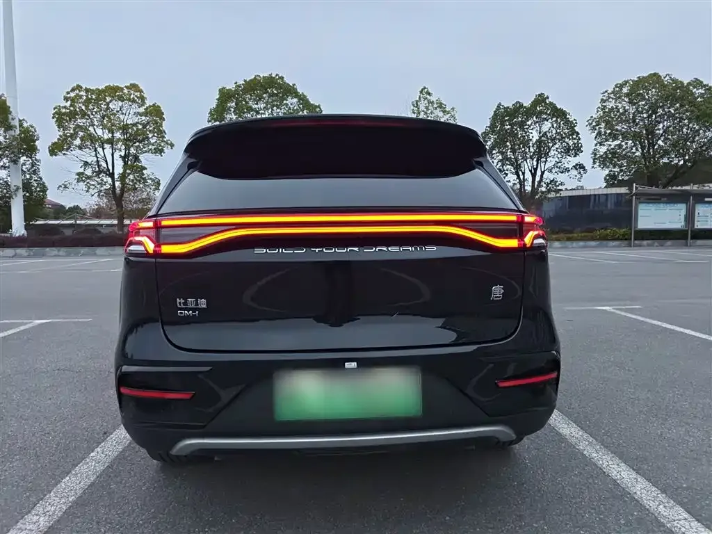 BYD Tang New Energy 2023 из CN, фото 6