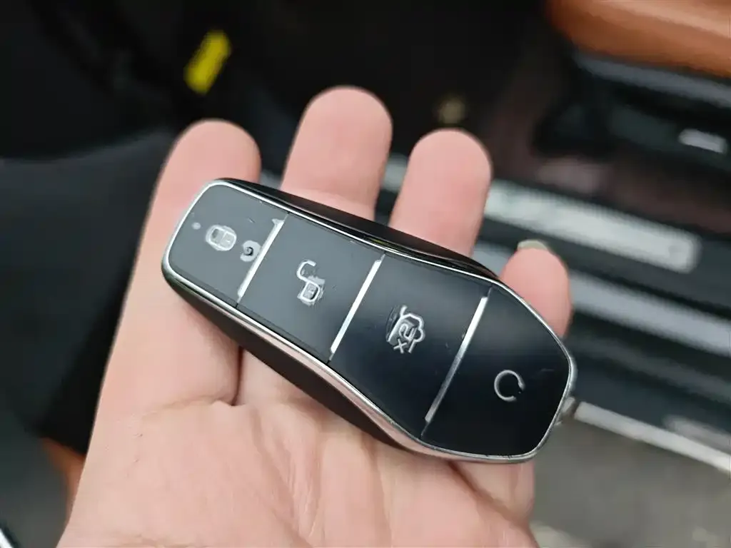BYD Tang New Energy 2023 из CN, фото 2