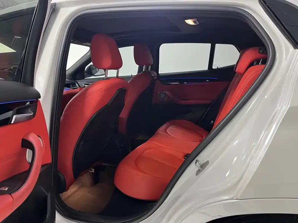 BMW X2 2021 из CN, фото 6