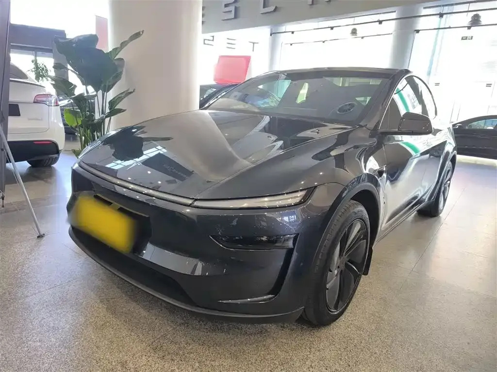 Tesla Model Y 2025 из CN, фото 1