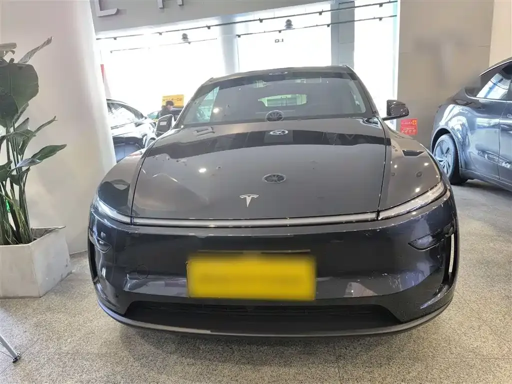 Tesla Model Y 2025 из CN, фото 5