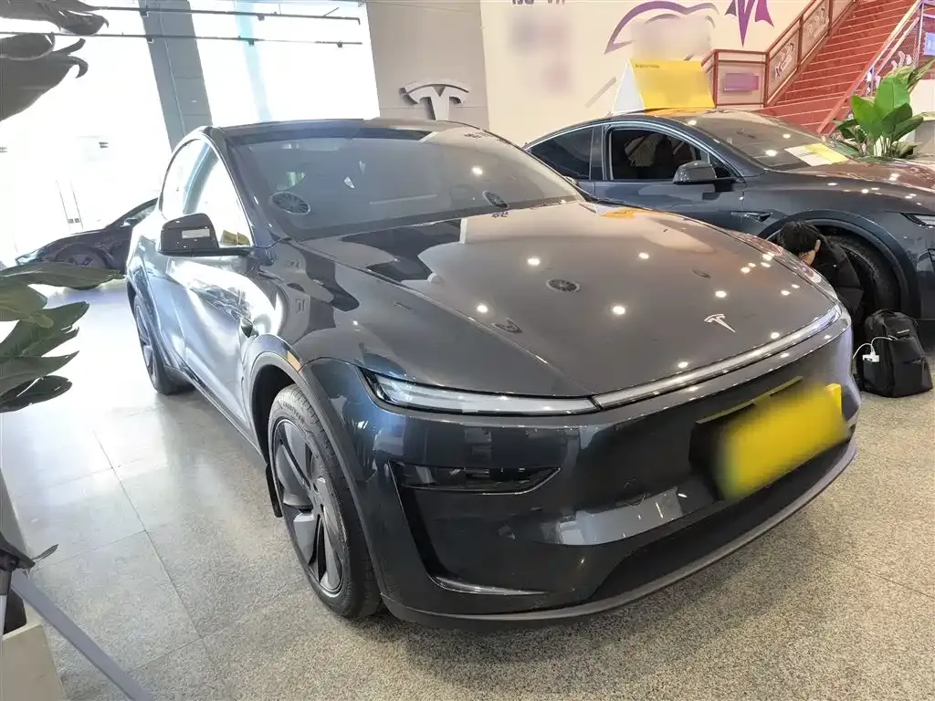 Tesla Model Y 2025 из CN, фото 6
